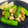 チョミ蔵's cooksnap of when they made 軟骨とししとうの塩レモン炒め.