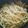 リトル黒豆マーメイド's cooksnap of when they made 惣菜屋で習っためんつゆ味の焼きうどん.