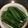 ルナＰボール's cooksnap of when they made オクラのおひたし.