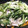 えぼななめ's cooksnap of when they made 水菜と豚肉の重ね蒸し.