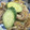 クックVXQ59E☆'s cooksnap of when they made 簡単！意外！キュウリと豚肉のマヨ炒め.