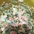 キャメロンjp's cooksnap of when they made 大豆とツナの簡単豆サラダ.
