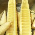 ☆ゆちみつ☆'s cooksnap of when they made タケノコ簡単アク抜き&タケノコのさしみ.
