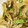 ノースのんのん's cooksnap of when they made キノコと野菜のオイスターソース炒め.