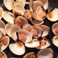 sjhappy's cooksnap of when they made あさりの酒蒸し.