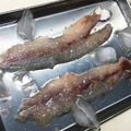 澪銘。's cooksnap of when they made とびうおの三枚おろし〜写真で解説します〜.