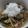のりこりん's cooksnap of when they made なすとシラスの和風パスタ.