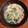 1697's cooksnap of when they made 海老と小松菜の中華クリーム煮.