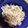 ＊トイ＊'s cooksnap of when they made 2分でできる♪えのきとじゃこのお出汁あえ.