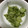 キタマニ's cooksnap of when they made お箸が止まらない♡きゅうりの甘酢漬け♡.