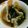M130018's cooksnap of when they made 隠し味あり～♪な、餃子のスープ☆.
