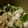 ﾗﾋﾞ♪'s cooksnap of when they made ❖叩いたキュウリと長芋の柚子胡椒麺つゆ❖.