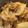 loaloa's cooksnap of when they made 超簡単！！白菜とツナのくたくた煮.