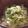 hmaotabiga's cooksnap of when they made 白菜と卵と鮭フレーク入りスープ.
