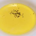 まるたむ's cooksnap of when they made キャロットスープ.