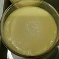 ゆであずきまめ's cooksnap of when they made フライパンでとろっとろなめならプリン♩.
