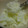 ふにに's cooksnap of when they made 簡単！ヨーグルトアイス☆.