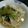 M130018's cooksnap of when they made ギョーザスープ.