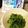 harry_yome's cooksnap of when they made 苦手克服！ピーマンと塩昆布のレンジ蒸し.