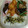 okazakana's cooksnap of when they made ≪お弁当に≫なすといんげんマスタード炒め.
