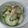 まほじょ's cooksnap of when they made 漬物用メロンの酢漬け.