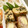 三段目's cooksnap of when they made 白だしで簡単！たまご焼き.