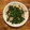 ○・ω・○はむはむ's cooksnap of when they made 簡単2品できる！ゆで鶏ニラだれとスープ.