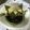 ゆずたんち☆'s cooksnap of when they made 猫ちゃん☆メロン.