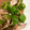 クックQ9STED☆'s cooksnap of when they made イカとピーマンの炒め物.