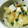 みずたま1616's cooksnap of when they made 簡単！長芋となめたけの和え物。.