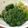 クックVI6LOP☆'s cooksnap of when they made あと一品！ほうれん草のおひたし.