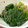 クックVI6LOP☆'s cooksnap of when they made あと一品！ほうれん草のおひたし.