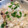 tutocook's cooksnap of when they made 酢生姜で！炊き込みごはん.