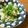 Jaye's cooksnap of when they made もんごういか炒め.