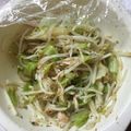 クックBZ0CDK☆'s cooksnap of when they made モヤシとキャベツのサラダ.