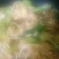 煌めくまま☆'s cooksnap of when they made 簡単節約☆鶏ひきもやしとチンゲン菜炒め.