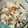 tomoka0314's cooksnap of when they made 鶏ときのこのガーリック炊き込みピラフ.