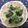 みぃ６９３'s cooksnap of when they made 美味しいσ(^_^)アタシの酢の物♪.