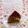 ｍａｒｉ♪'s cooksnap of when they made *ケーキの保管・持ち運び.