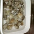 みらぁ's cooksnap of when they made あさりの砂抜き(粗塩編).