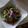 クックQZG9EG☆'s cooksnap of when they made 夏野菜☆冷しゃぶサラダ☆.