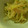 aco0622's cooksnap of when they made もやしの中華和え.