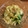 JILLの赤メガネ's cooksnap of when they made キャベツとちんげん菜のごま和え♪.
