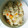 いかにんじんこ's cooksnap of when they made ツナ缶とにんじんの炊き込みご飯.