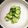 たなかno's cooksnap of when they made 超簡単キュウリの浅漬け.