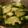 クックVNSB48☆'s cooksnap of when they made 簡単きゅうり漬け.