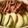クックVNSB48☆'s cooksnap of when they made アボカドしらすステーキ丼.