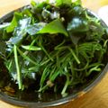 低カロ探検隊's cooksnap of when they made おかひじきのさっぱり和え.