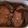 クック9A8FE3☆'s cooksnap of when they made 簡単ローストビーフ.