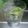 キットン☆'s cooksnap of when they made 夏カクテル「ブルーベリーモヒート」.